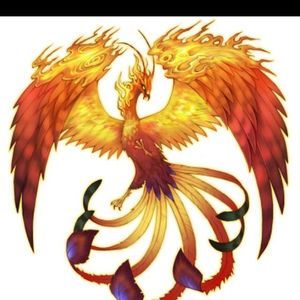 Meet your Posher, Lacy